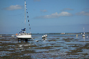 Ronce_juillet_2014_077