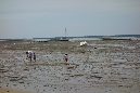 Ronce_juillet_2014_131
