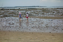 Ronce_juillet_2014_132