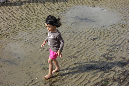 Ronce_juillet_2014_150