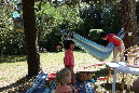 Ronce_juillet_2014_180