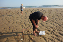 Ronce_juillet_2014_188