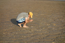 Ronce_juillet_2014_191