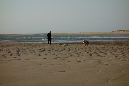 Ronce_juillet_2014_193