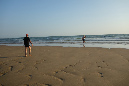 Ronce_juillet_2014_194