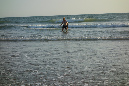 Ronce_juillet_2014_195