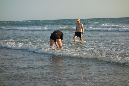 Ronce_juillet_2014_196