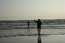 Ronce_juillet_2014_198