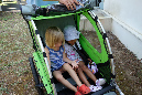 Ronce_juillet_2014_222