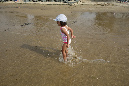 Ronce_juillet_2014_231