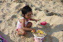Ronce_juillet_2014_247