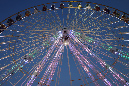 Ronce_juillet_2014_252