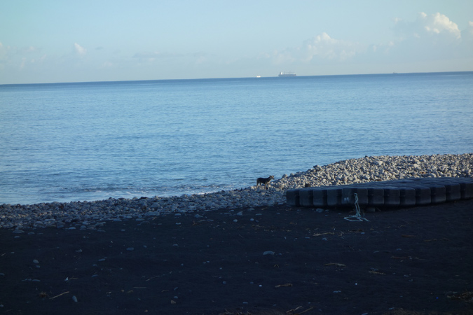 10_avril_2015_05