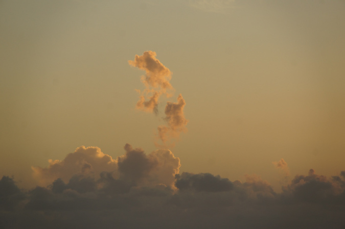 14_fevrier_2015_10