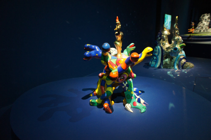 05janvier_2015_SaintPhalle_33