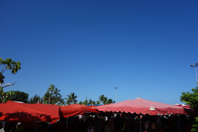 23janvier_2015_07