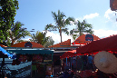 23janvier_2015_06