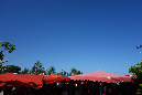23janvier_2015_07