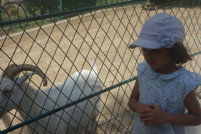 18_juillet_2015_acclimatation_04