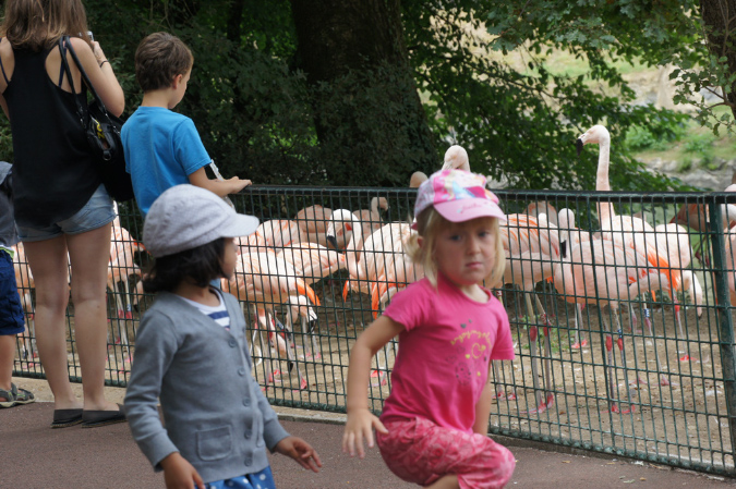 29_juillet_Zoo_2015_013