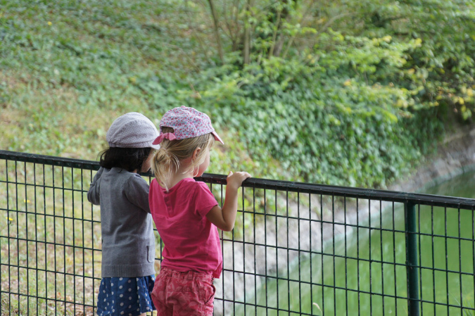 29_juillet_Zoo_2015_016