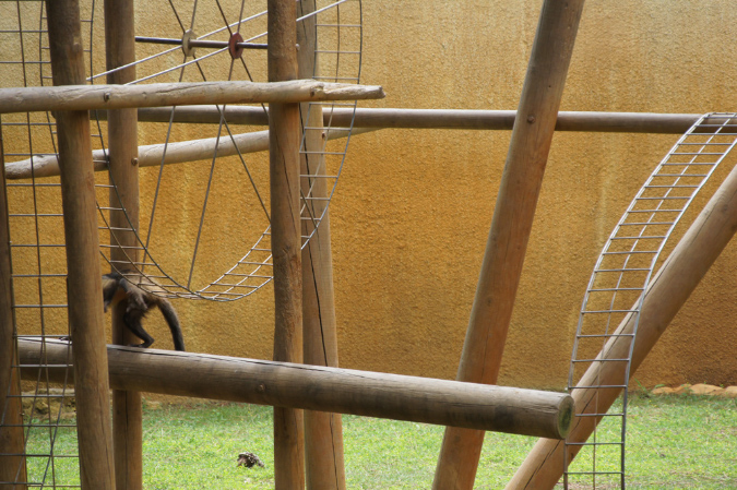 29_juillet_Zoo_2015_017