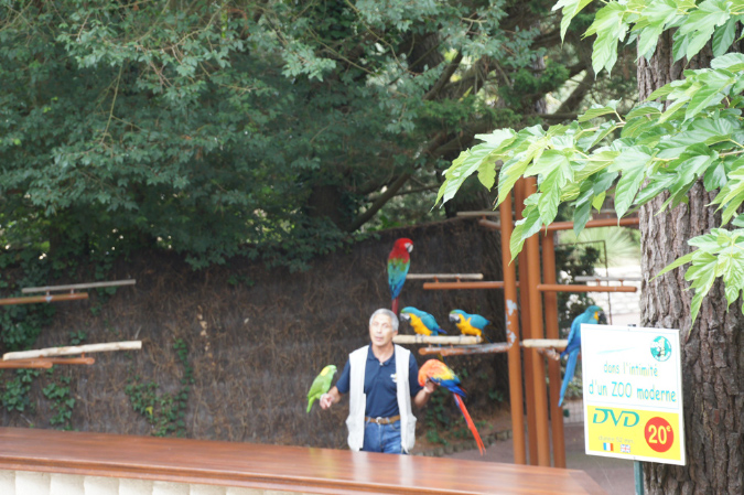 29_juillet_Zoo_2015_046