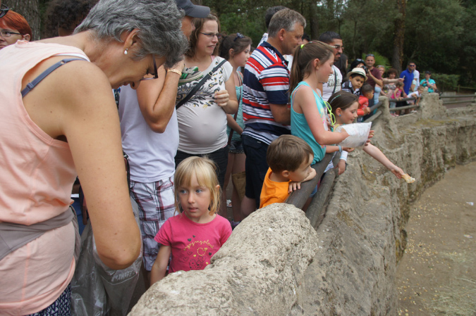 29_juillet_Zoo_2015_051