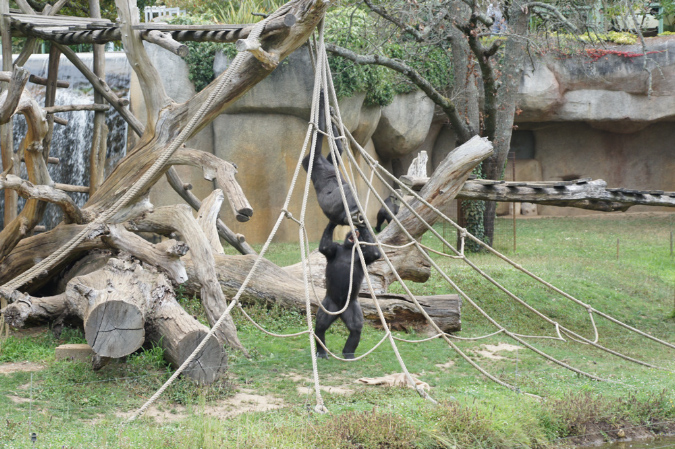 29_juillet_Zoo_2015_065