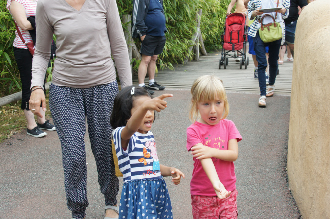 29_juillet_Zoo_2015_070
