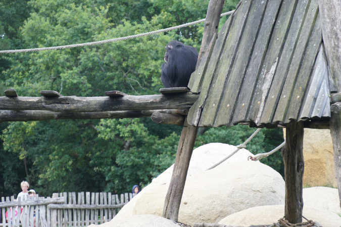 29_juillet_Zoo_2015_072
