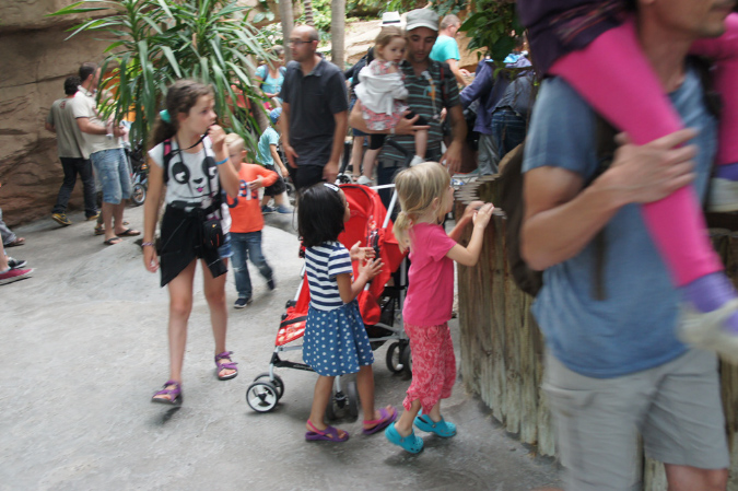 29_juillet_Zoo_2015_083