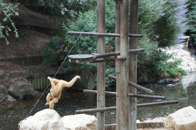 29_juillet_Zoo_2015_085