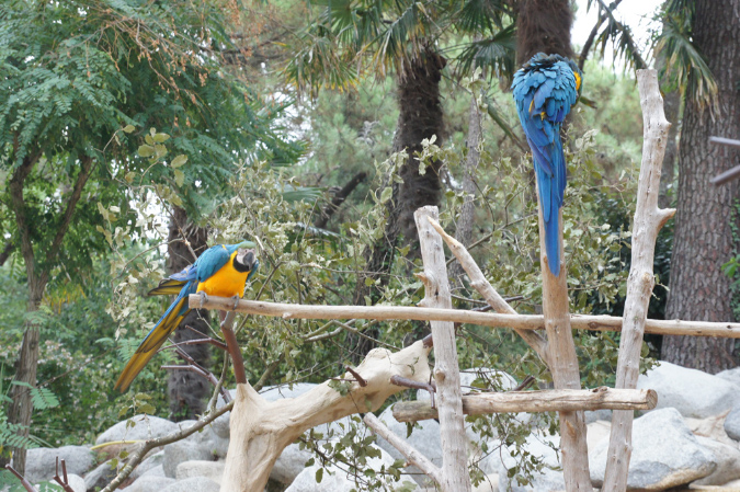 29_juillet_Zoo_2015_086