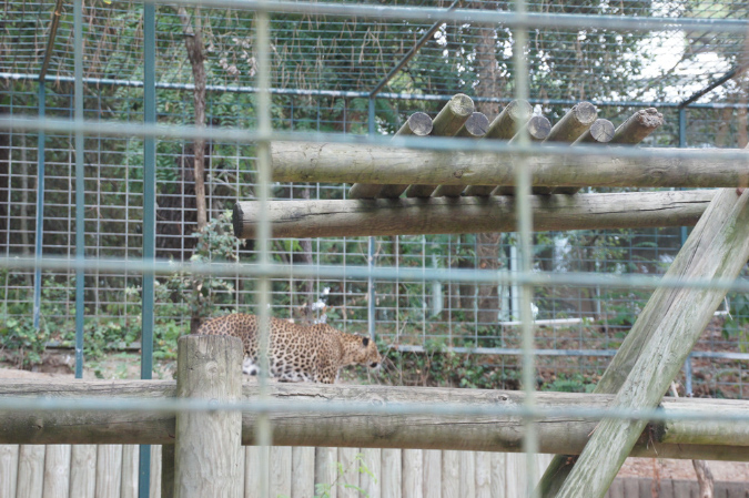29_juillet_Zoo_2015_091