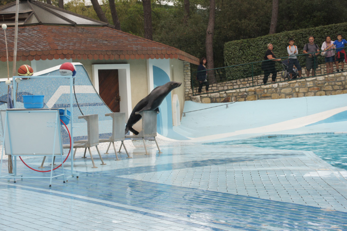 29_juillet_Zoo_2015_094