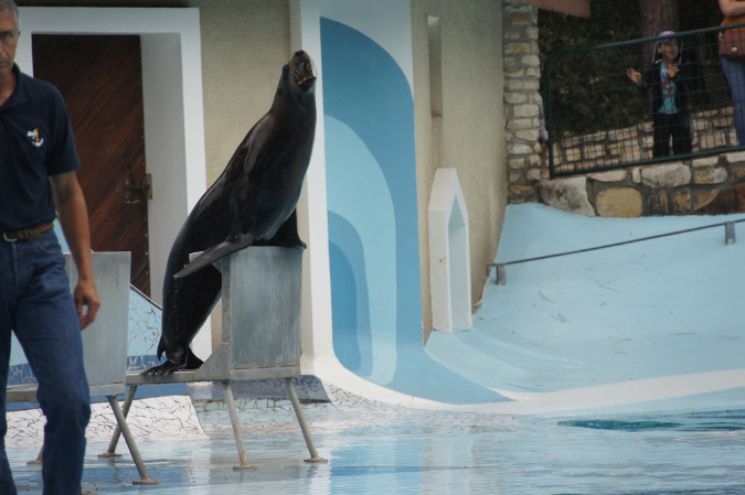 29_juillet_Zoo_2015_098