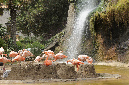 29_juillet_Zoo_2015_004