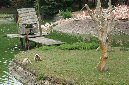 29_juillet_Zoo_2015_034