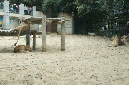 29_juillet_Zoo_2015_036