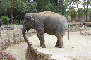 29_juillet_Zoo_2015_040