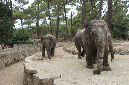 29_juillet_Zoo_2015_048