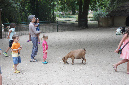 29_juillet_Zoo_2015_059