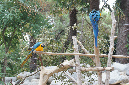 29_juillet_Zoo_2015_086