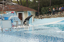 29_juillet_Zoo_2015_094