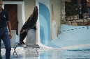 29_juillet_Zoo_2015_098
