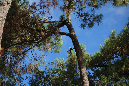 30_juillet_2015_41