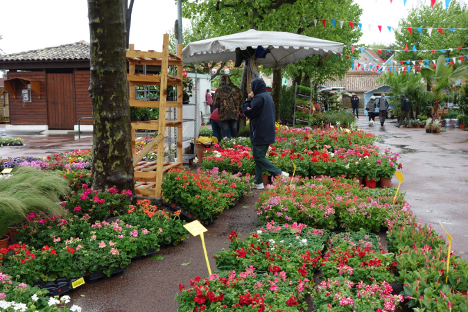 1_mai_2015_01