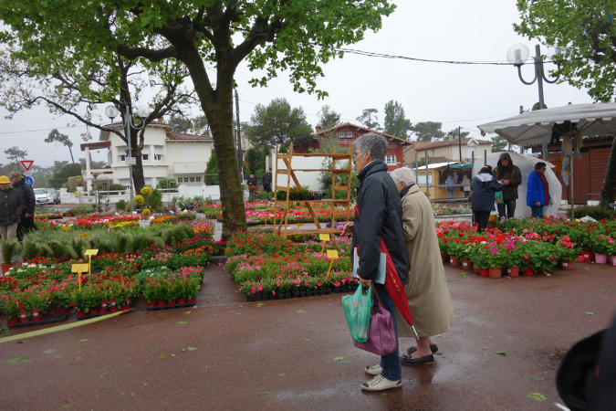 1_mai_2015_07