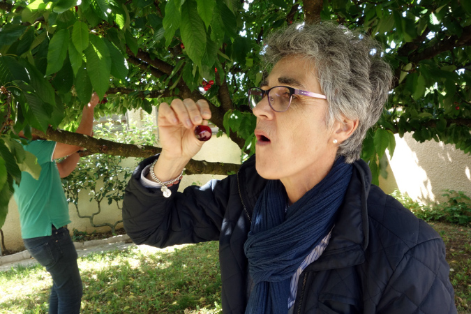 Luberon_fin-mai_2015_12